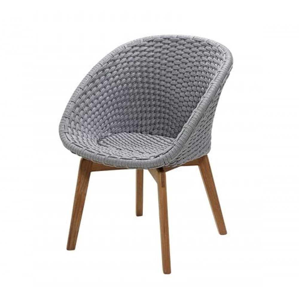 Peacock Chair